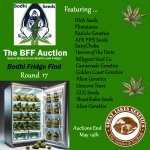 BFF Auction round 17 - posted.jpg