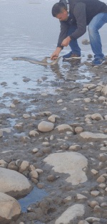 20250513_202136(1).gif