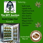 BFF Auction round 18 - posted.jpg