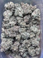 IMG_3918.jpeg