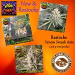 Urban Legends - New & Restocks 6-6-25 - posted.jpg