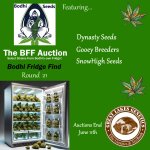 BFF Auction round 21 - posted.jpg