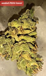 20250623_091735.jpg 20250623_091735.jpg