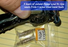 20250623_100715.jpg 20250623_100715.jpg