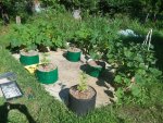 20200604_092552.jpg