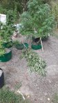 20200831_105937.jpg
