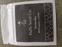 PXL_20250704_210857082.jpg