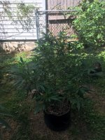 IMG_4670.JPG IMG_4670.JPG