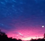 20200831_162140.jpg
