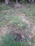 20200903_121925.jpg