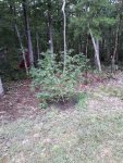 20200903_121917.jpg