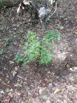 20200903_121953.jpg