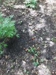 20200903_122022.jpg