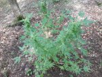 20200903_122037.jpg