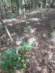 20200903_122041.jpg