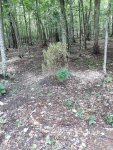 20200903_130637.jpg