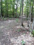 20200903_130641.jpg