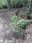 20200903_130731.jpg