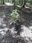 20200903_130708.jpg