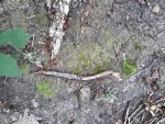20200903_130803.jpg
