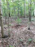 20200903_130836.jpg