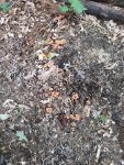 20200903_130821.jpg