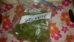 welchie.jpg