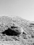 20200905_163143~2.jpg