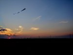 20200905_195046~2.jpg