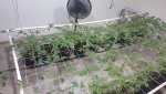 20200704_233238.jpg