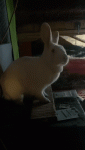 20200906_120453(2).gif