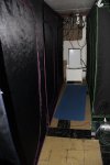 IMG_8175.jpg