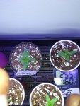 20200912_194538.jpg