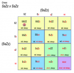 how many seed square.png