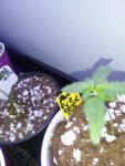 20200913_232041.jpg