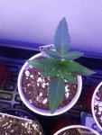 20200915_221202.jpg