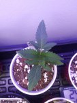 20200916_211841.jpg