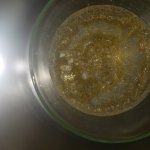 20200917_173222.jpg