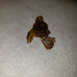 20200917_180655.jpg