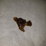 20200917_180711.jpg