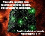 borg.jpg