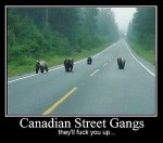 cdn strt gang.jpg