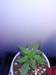 20200920_162929.jpg