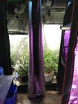 IMG_20200921_160252.jpg