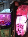 IMG_20200921_160345.jpg