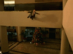 B33845E5-7276-4679-B4F7-49778C651809.gif