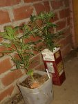 20200927_152252.jpg
