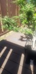 20200928_152031.jpg