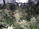 20201003_074440.jpg