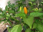20201004_132841.jpg